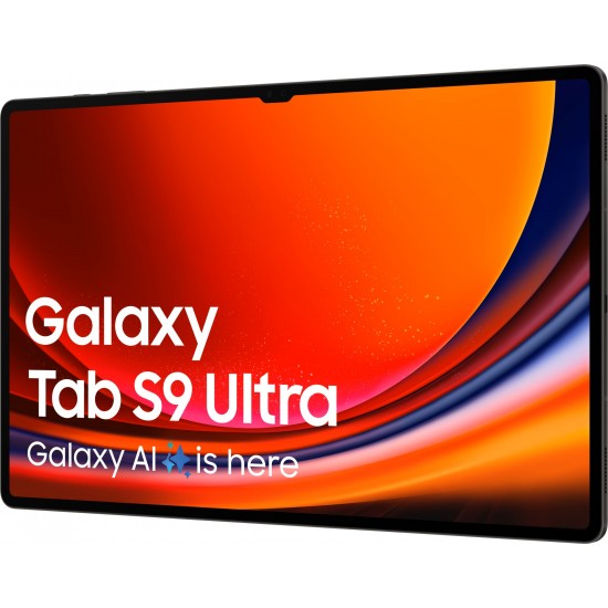 Samsung Galaxy Tab S9 Ultra - 14,6" - 256GB - SM-X910